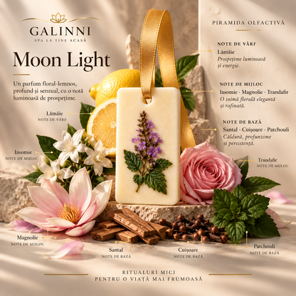 Odorizant de dulap din ceară de soia 35g - MOON LIGHT